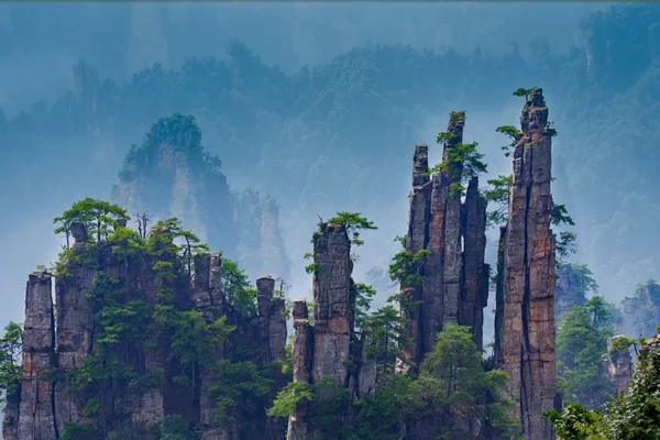 Zhangjiajie National Forest Park & Glass Bridge Private Day Tour