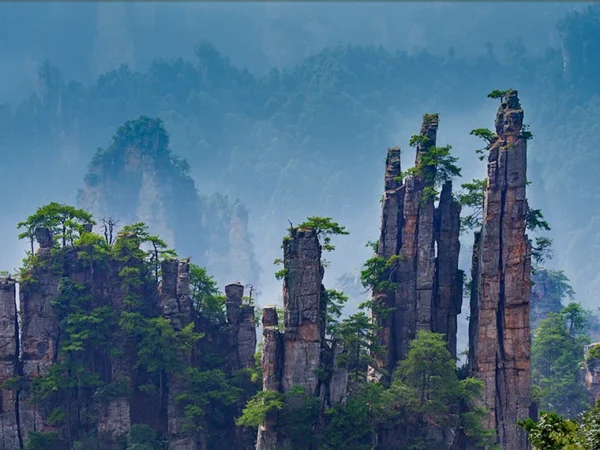 Zhangjiajie National Forest Park & Glass Bridge Private Day Tour