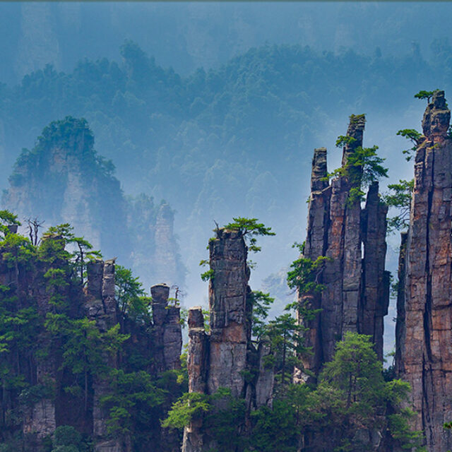 Zhangjiajie National Forest Park & Glass Bridge Private Day Tour