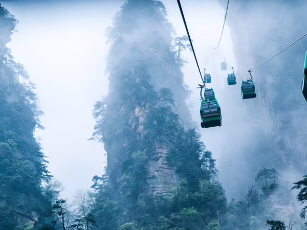 Zhangjiajie National Forest Park Private Day Tour